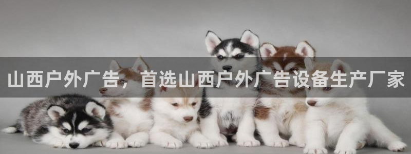 杏宇平台代理多少钱一个