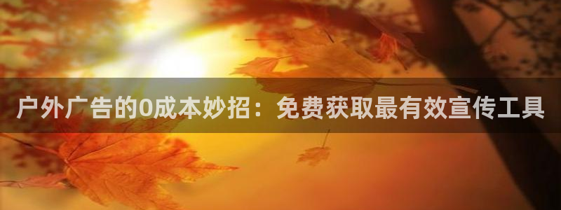 杏宇官方平台官网入口
