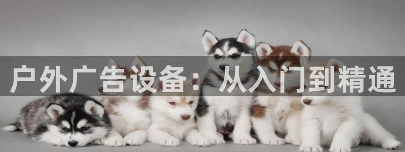 杏宇平台开户