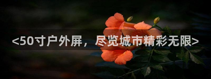 杏宇平台登陆