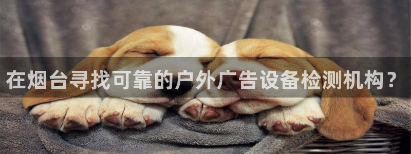 杏宇平台代理多少钱