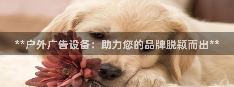 杏宇平台测速链接