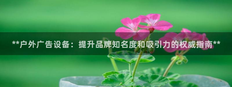 杏宇平台代理怎么样啊