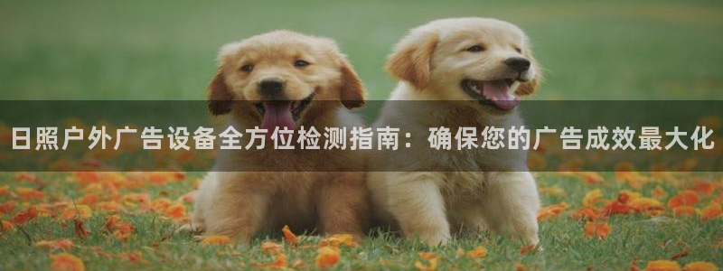 杏宇平台代理多少钱一个
