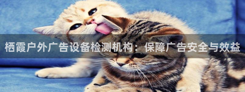杏宇平台代理多少钱一个月