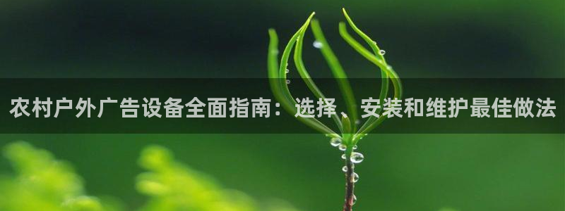 杏宇平台注册登录：农村户外广告设备全面指南：选择、安装和维护最佳做法
