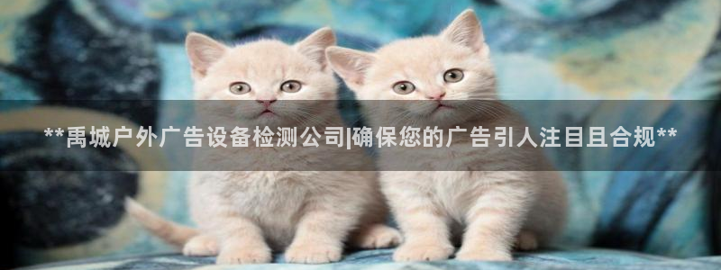 杏宇平台代理多少钱一个月