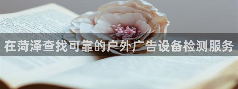 杏宇平台注册登录：在菏泽查找可靠的户外广告设备检测服务