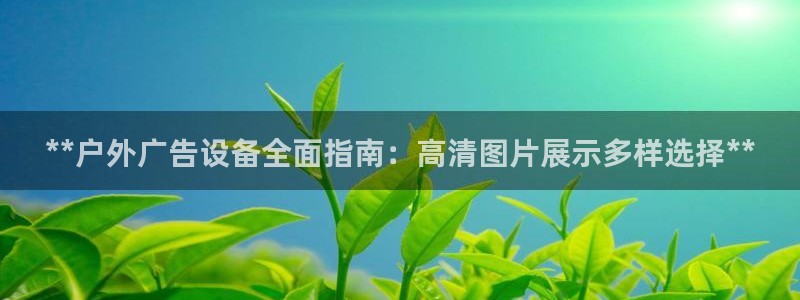 杏宇平台代理怎么赚钱：**户外广告设备全面指南：高清图片展示多样选择**
