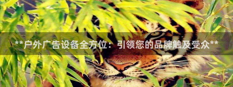 杏宇平台注册地址
