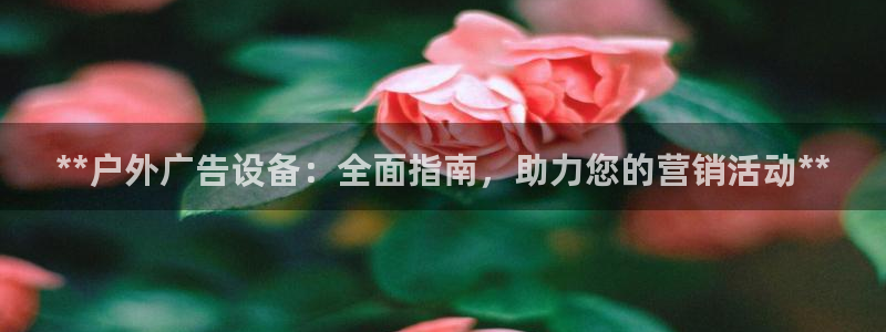 杏宇平台登录步骤：**户外广告设备：全面指南，助力您的营销活动**