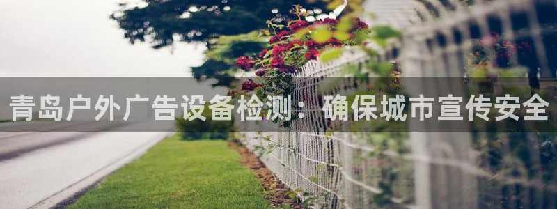 杏宇平台代理多少钱一个