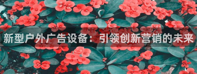 杏宇平台主管