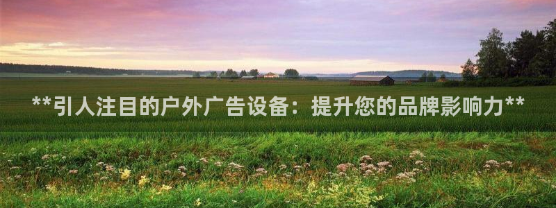 杏宇平台主管