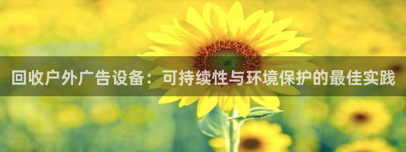 杏宇平台主管