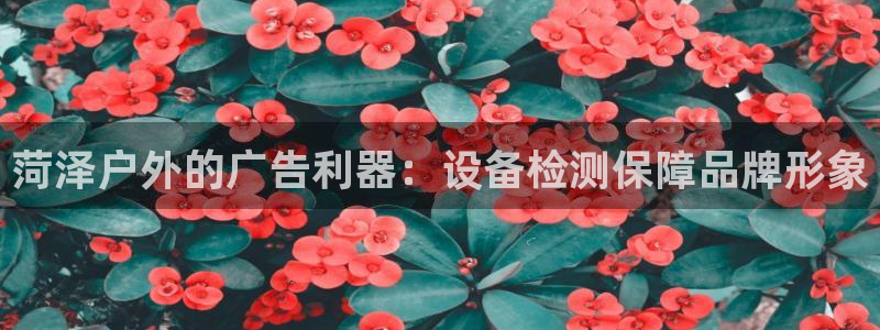 杏宇官方平台官网