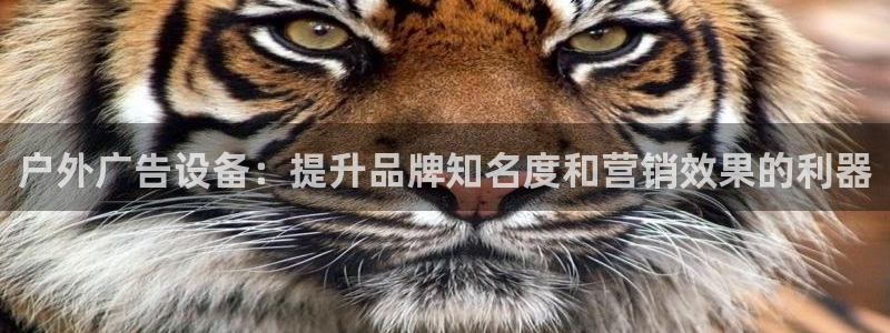 杏宇平台代理怎么赚钱快