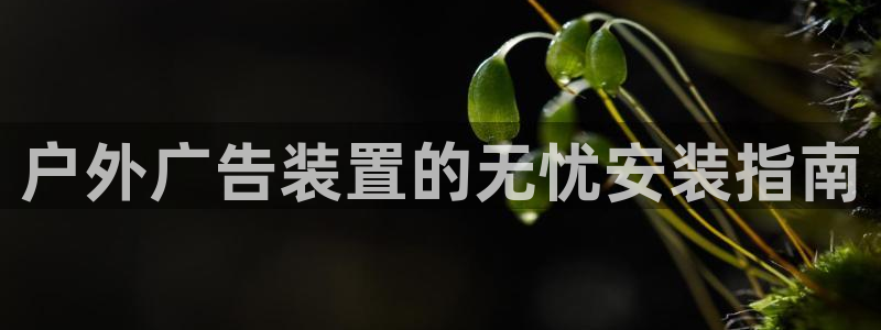 杏宇平台登录方法