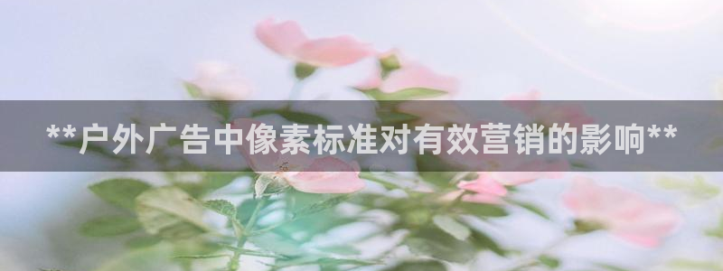 杏宇平台招商电话号码