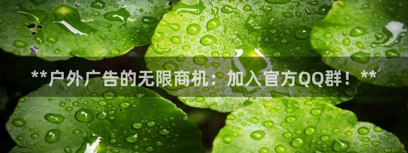 杏宇平台总代理电话