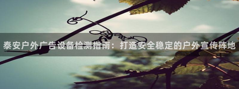 杏宇平台招商怎么样