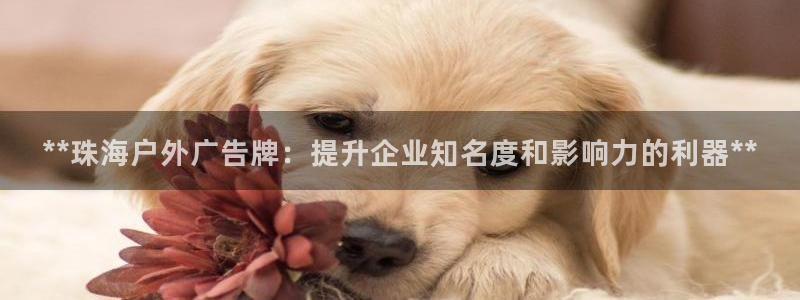 杏宇平台代理怎么样