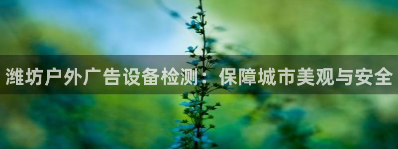 杏宇平台代理怎么赚钱