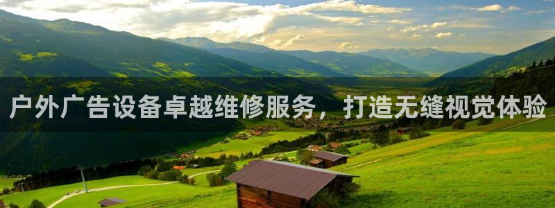 杏宇平台是什么