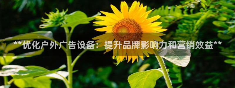 杏宇平台登录方法