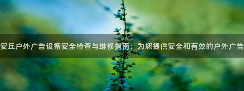 杏宇平台主管