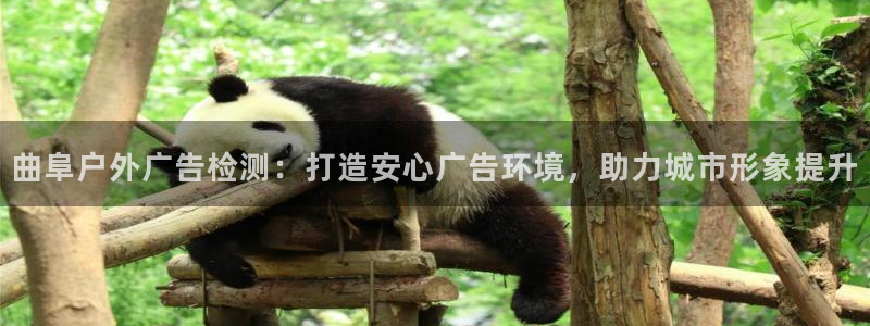 杏宇平台代理