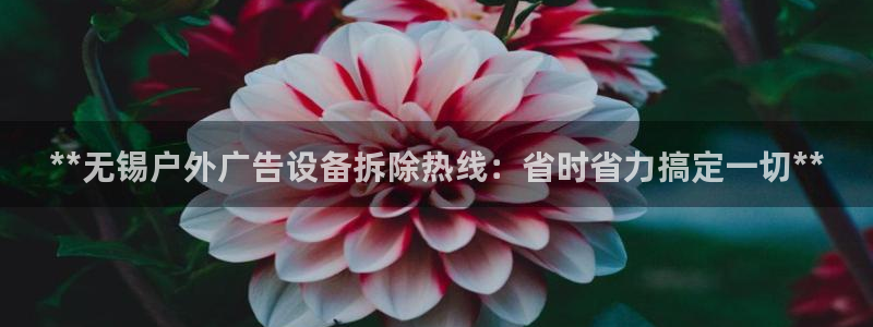 杏宇平台登录方法