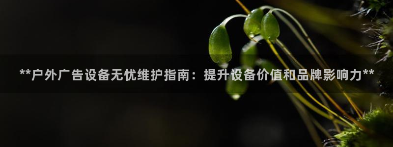 杏宇平台注册登录