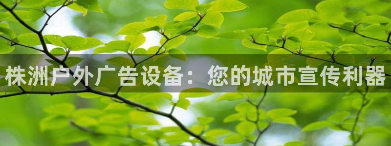 杏宇平台官网注册：株洲户外广告设备：您的城市宣传利器