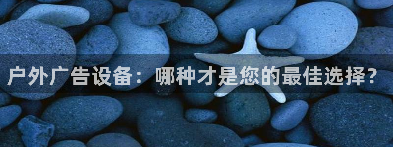 杏宇平台主管