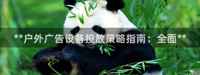 杏宇官方平台官网下载：**户外广告设备投放策略指南：全面**