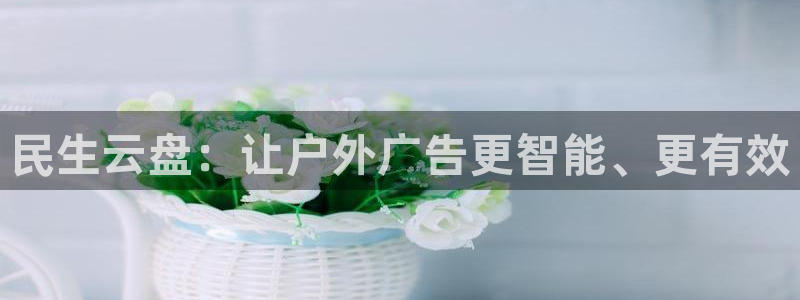 杏宇平台登录步骤是什么
