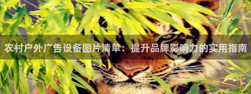 杏宇平台总代理是谁：农村户外广告设备图片清单：提升品牌影响力的实用指南