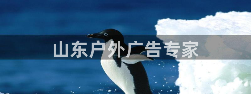 杏宇官方平台官网入口：山东户外广告专家