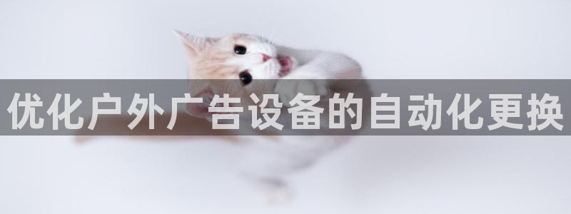 杏宇平台代理怎么样可靠吗