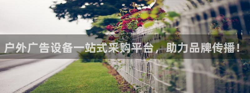杏宇官方平台官网下载