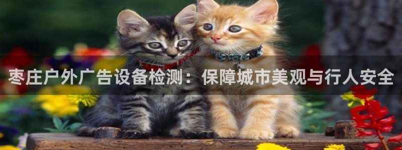 杏宇平台注册地址：枣庄户外广告设备检测：保障城市美观与行人安全