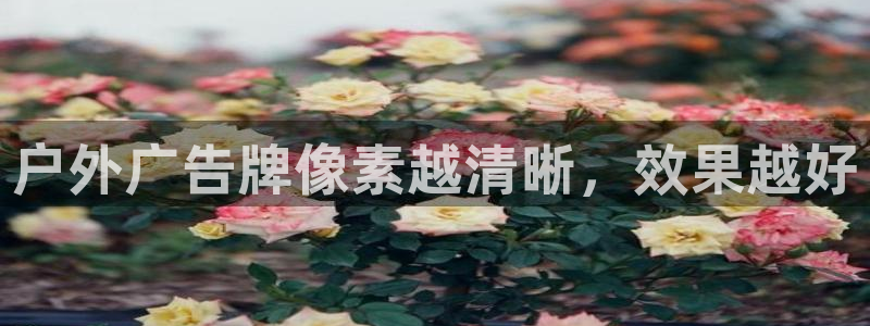 杏宇平台代理怎么赚钱快