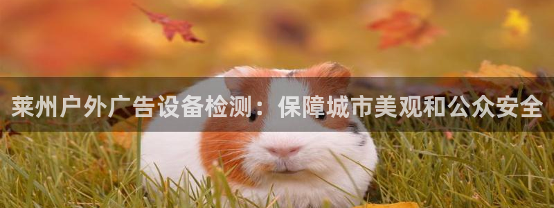 杏宇平台代理怎么样啊