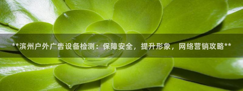 杏宇平台招商