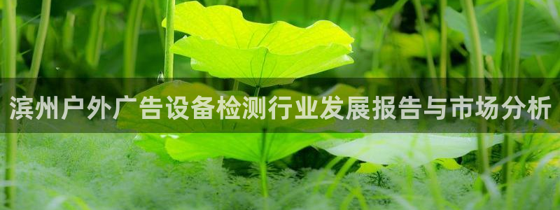 杏宇平台代理多少钱一个：滨州户外广告设备检测行业发展报告与市场分析