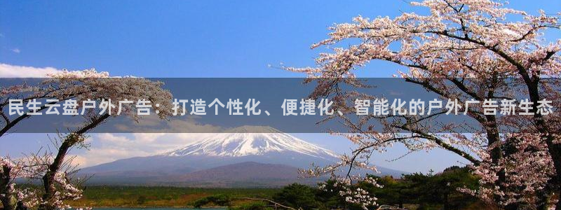 杏宇平台登录步骤图：民生云盘户外广告：打