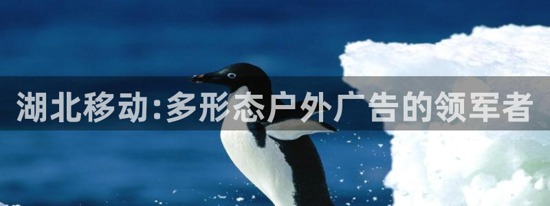 杏宇平台客服：湖北移动:多形态户外广告的领军者