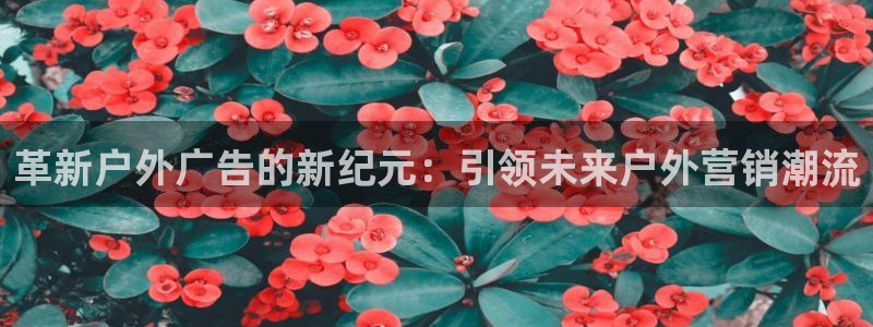 杏宇平台总代理是谁：革新户外广告的新纪元