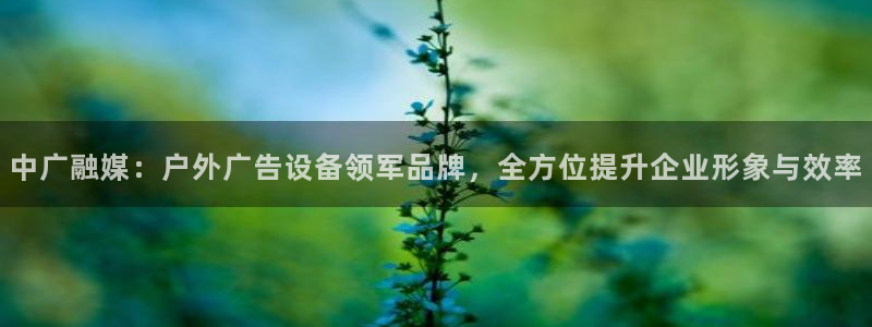 杏宇平台登录步骤是什么：中广融媒：户外广